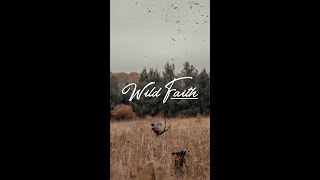 Chasing Feathers  2024 Pheasant Hunting Hype Reel [upl. by Ama]