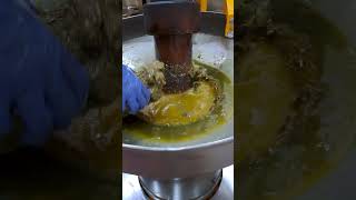 Safflower oil extraction process l Safflower cold pressed oil l Agribi safflower oil l करडई तेल [upl. by Alemaj]