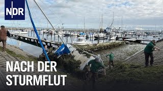 SchleswigHolstein Nach der JahrhundertSturmflut  Die Nordreportage  NDR Doku [upl. by Ahter]