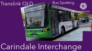 Translink QLD Bus Spotting  Carindale Interchange [upl. by Jacqui]