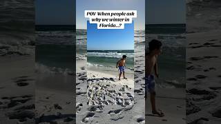 Why do people winter in Florida travel [upl. by Neivad]