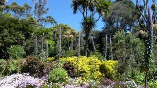 Isles of Scilly Landscape and Nature [upl. by Otnas]