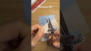 Pantone 291 pantonechallenge music song journaling scrapbook paperasmr collage 1분다꾸 sticker [upl. by Yrailih]