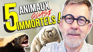 5 animaux quasi immortels  TOP 5 [upl. by Meelak511]