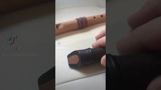 Kung Kueng Marsyas Recorder from Thoman Music IS BACK repaired for FREE in Switzerland [upl. by Aniuqal]