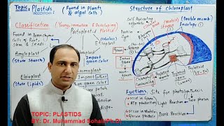 Plastids Chloroplast structure and functions along with classification by Dr Sohail [upl. by Htenywg]