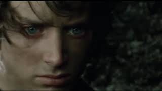 The Parting of Sam and Frodo Scene 2 [upl. by Ariaj]