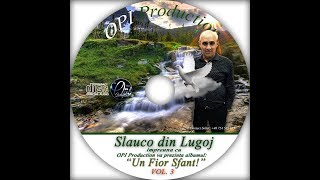 SLAUCO DIN LUGOJ  TU MA CUNOSTI STI CEAM FACUT DOINA ACCORDEON OFFICIAL VIDEO [upl. by Meredi]