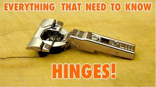 Cabinet Door Hinges  Everything you need to Know [upl. by Ybur]