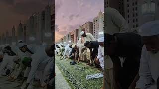 Masjid Nabi Maghrib Namaz 10112024 [upl. by Ynohtnaluap887]