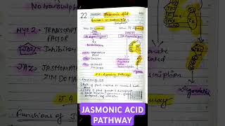 JASMONIC ACID SIGNALLING PATHWAY• FROM ALPHA LINOLENIC ACID• CSIR LIFE SCIENCES csirnet biology [upl. by Thielen746]