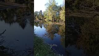 This is The Rock kinderhook Creek Kinderhook New York [upl. by Chance297]