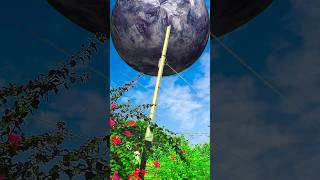 solar system planets viral shortseed vfxshorts ytshorts vfxworld solarsystem planets viralvfx [upl. by Christye346]