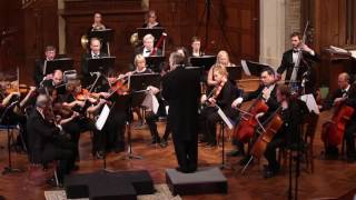 Mozart Symphony No 40 Movt 4 Allegro Assai Camerata Chicago [upl. by Jaimie634]