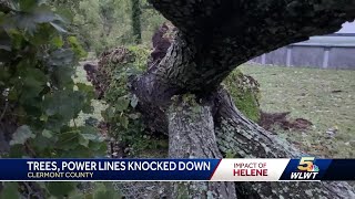 Winds from Helene bring trees wires down across Greater Cincinnati area [upl. by Carder]