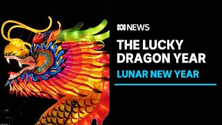 Lunar New Year 2024 What does the year of the dragon mean  ABC News [upl. by Aitram]