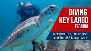 Diving in Florida Molasses Reef French Reef Benwood amp Spiegel Grove dive sites [upl. by Yesrod467]