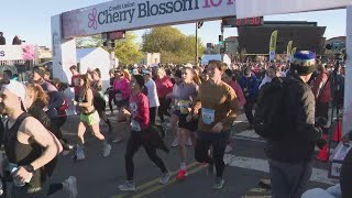 DCs Annual Cherry Blossom 10miler [upl. by Shanahan231]