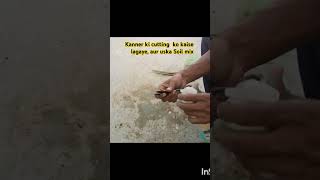 kanner ki cutting kise lagaye uska soil mix kaisa banaye  short video  RS the green garden 🪴✂️ [upl. by Pillyhp653]