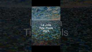 quotLa Jolla Tide Poolsquot 2021 painting evolution animation [upl. by Teerpnam]