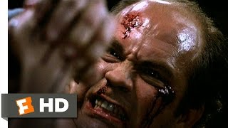 Of Mice and Men 610 Movie CLIP  Lennie Fights Back 1992 HD [upl. by Frodine490]