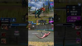 CERATOSAURUS ALL EVOLUTION amp CERATOSAURUS ALL ANIMATION  Jurassic World The Game [upl. by Ultann]