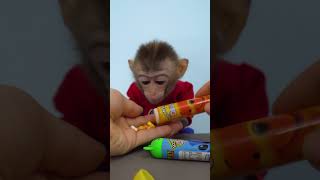 Bon Bon Monkey enjoy with full colors candy ASMR monkey animal [upl. by Hedi]