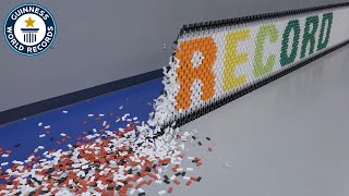 Longest Domino Wall Topple  Guinness World Records [upl. by Nawj]