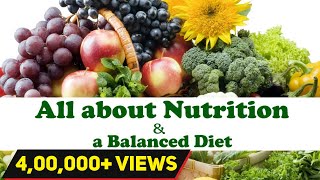 All About NUTRITION  Balanced Diet Chart  Diet plan in Quarantine Days  Letstute [upl. by Assilen864]