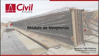 Alcance y uso del módulo Neopreno de Civil eStudio [upl. by Dragon]