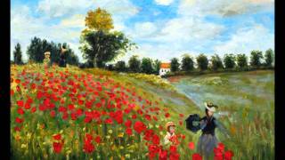 Poppy Fields  Coldplay [upl. by Refannej]