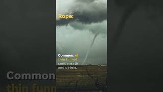 Not all tornadoes are created equally Witness their differences Shorts [upl. by Hally975]