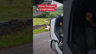 The shocking truth about the Welsh Sheep shaggers a brief history and some beautiful scenery [upl. by Vaientina]