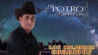 El Potro De Sinaloa Corridos Mix [upl. by Ellerud40]