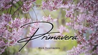 Primavera  Rick Nascimento  Hino Avulso CCB [upl. by Netneuq]