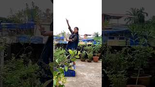 Jhooti mooti mitwa dance dancecover latamangeshkar latamangeshkarsongs [upl. by Eniamret661]