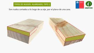 Vídeo 1 Curso “Clasificación visual de la madera aserrada de Pino radiata para uso estructuralquot [upl. by Nero700]