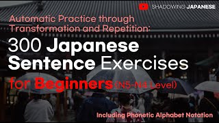 Shadowing JapaneseAutomatic Practice 300Japanese Sentence Exercisesfor Beginners N5N4 Level [upl. by Albers]