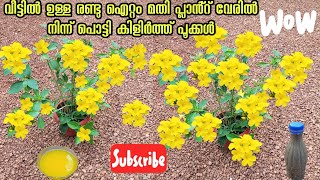 Kerala garden ideas for home Malayalam gardening flowers  പൂക്കൾ നിറയാൻ അറിയാതെ [upl. by Ahsenroc11]