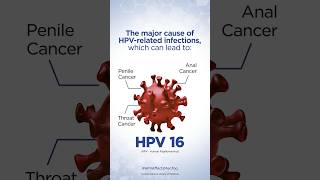 HPV Facts Every Man Should Know seruminstituteofindia [upl. by Eical582]