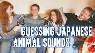 Guessing Japanese animal sounds 日本語で動物の鳴き声当て [upl. by Coombs]