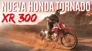 NUEVA Honda Tornado XR 300  Review x Mariano Garbini [upl. by Cornela]