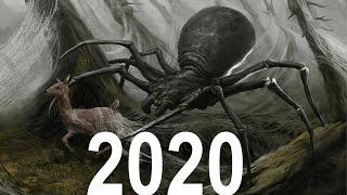 Evolution of Giant Spiders 19752020 [upl. by Ardnaik]