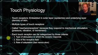 PSYC 359 Chapter 13 Touch mechanoreceptors pain phantom limb rubber hand illusion S1 [upl. by Mcmillan482]