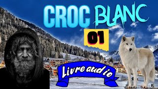 Croc Blanc  Jack London  Chapitre 1  à Lire et écouter [upl. by Eesdnil694]