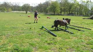 Spring Cavaletti Training hier an Doppellonge [upl. by Julio]