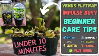 Total Venus Flytrap Care Under 10 Minutes  WalMart Lowes Beginner Fly Trap Tips Updated 2024 [upl. by Ayaros197]