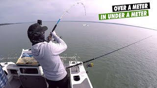 SHIMANO SARAGOSA SW 8000  Chasing monsters in shallow waters [upl. by Adnelg325]