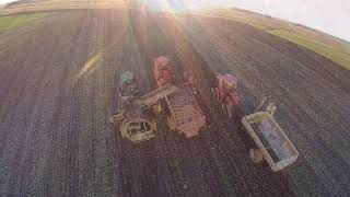 Solvie Farms Sugar Beet Harvest 2014 [upl. by Brodeur]