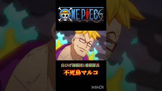 ONE PIECE白ひげ海賊団1番隊隊長不死鳥マルコONEPIECEshorts 百獣海賊団 不死鳥マルコmadmad [upl. by Nyrrek]